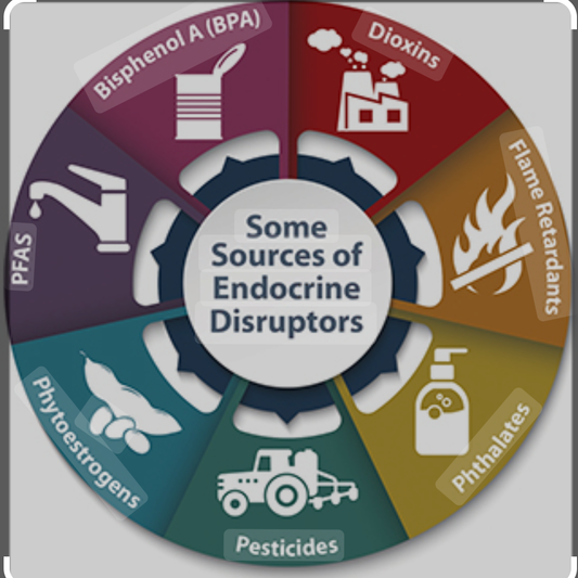 The Hidden Dangers of Hormone Disruptors in Hygiene and Beauty Products - Red Monkey