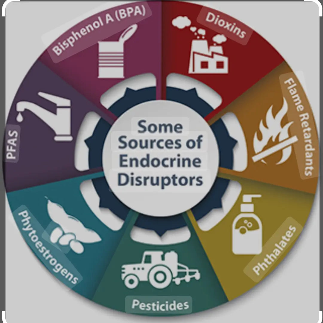 The Hidden Dangers of Hormone Disruptors in Hygiene and Beauty Products